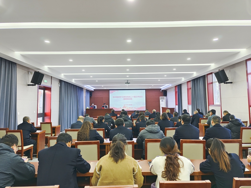 博农集团召开党的二十届三中全会精神集中学习培训