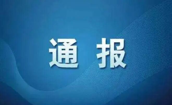 中共博农集团党委关于十二届市委第七轮巡察整改进展情况的通报